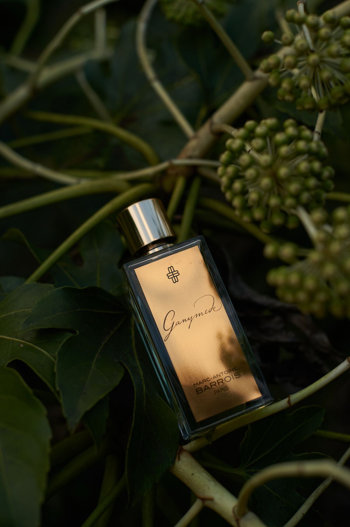 عطر مارک آنتوان باروآس گانیمد | Marc Antoine Barrois Ganymede