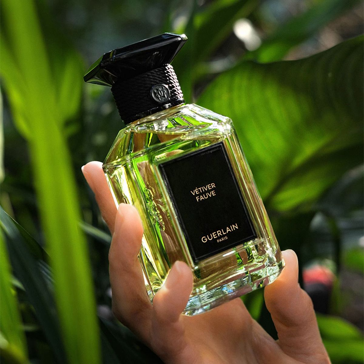 عطر گرلن ویتور