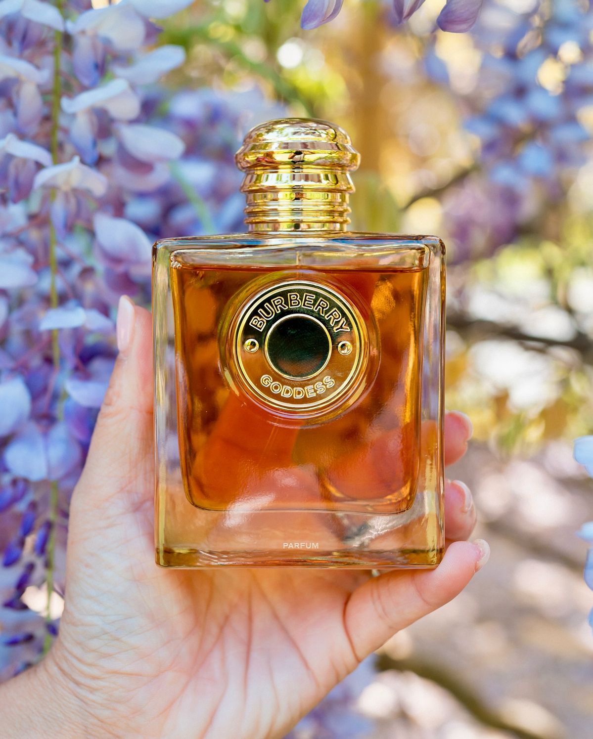 عطر بربری گادس | Burberry Goddess Perfume