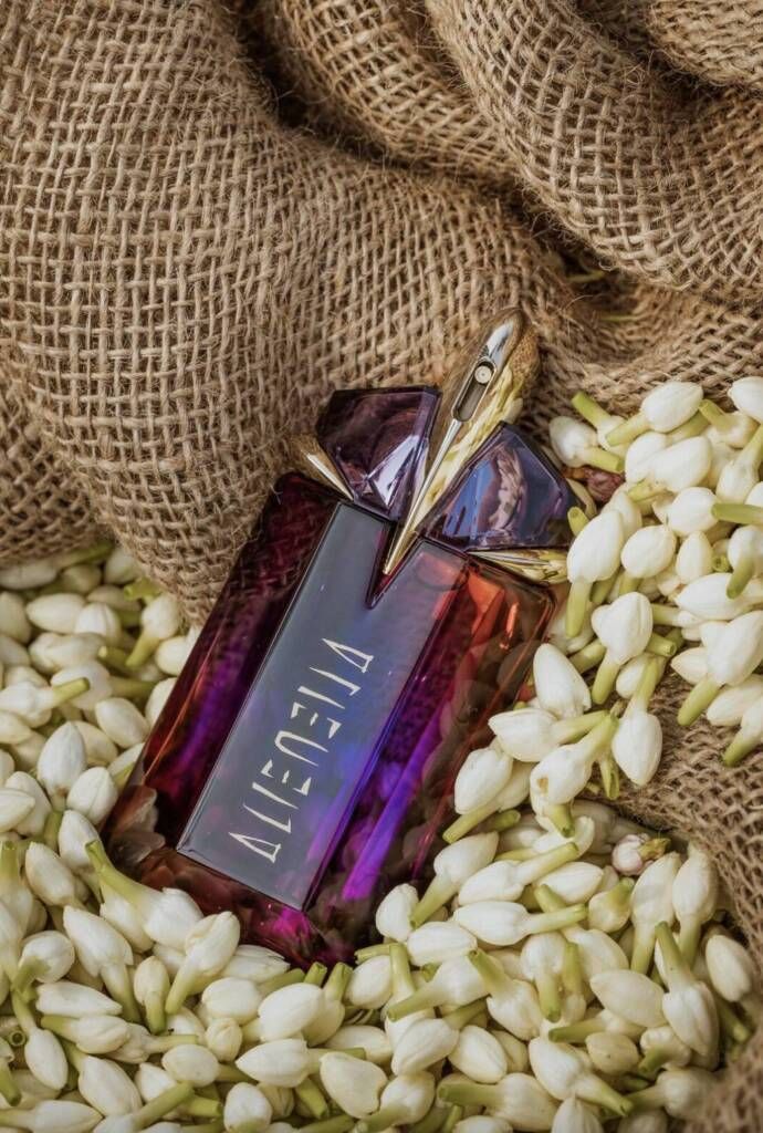 عطر الین موگلر | Mugler Alien
